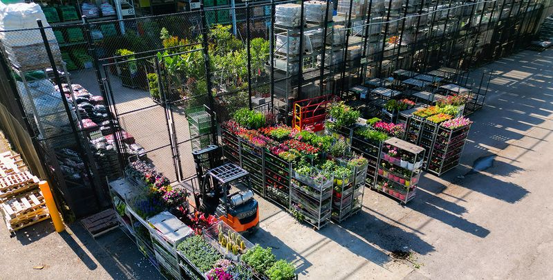 Green Initiative | Container Centralen