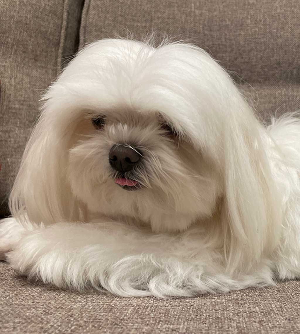 online-private-maths-tutor-gcse-a-level-tuition