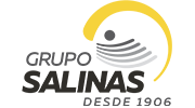 GRUPO SALINAS