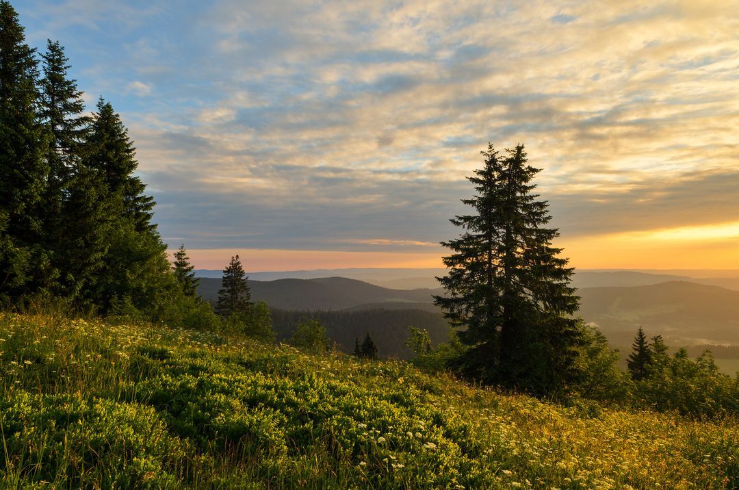 Burghotel Feldberg I Urlaub im Schwarzwald buchen