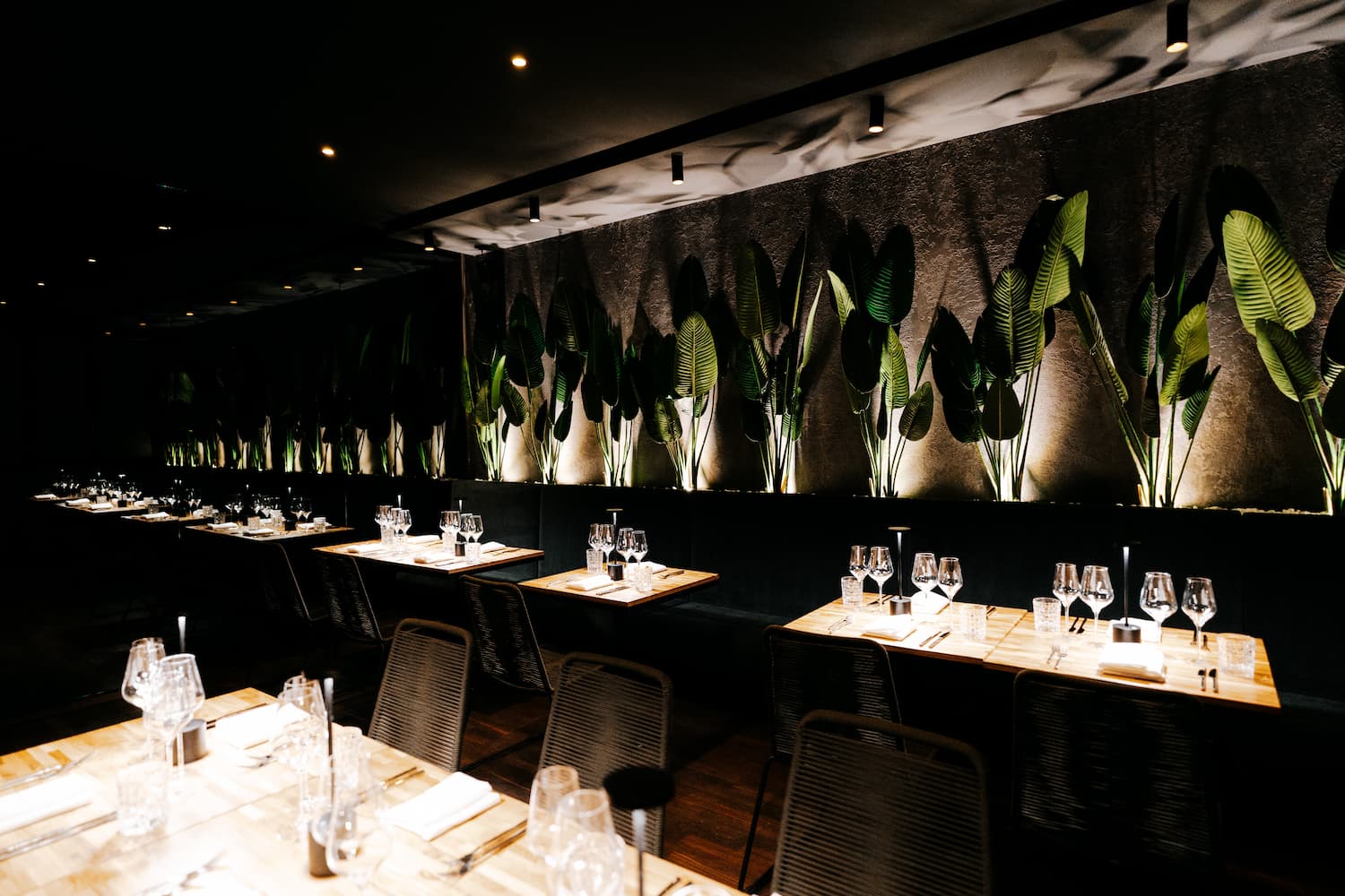 The DJNGL Modern Kitchen in Heidelberg