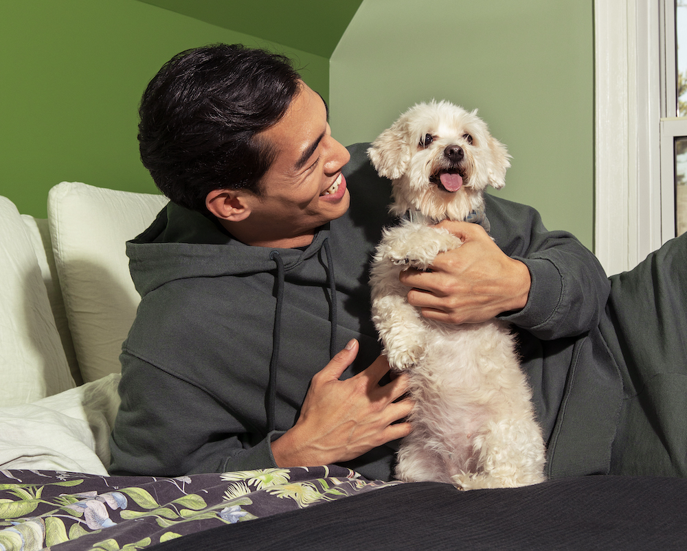 Quiz Do you belong in the pet parent hall of fame?