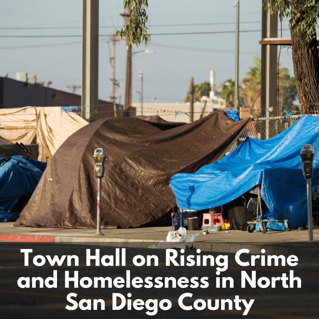 Town Hall on Rising Crime and Homelessness in North San Diego County