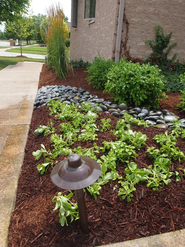 Landscape Design Services in Lockport, IL goMulch