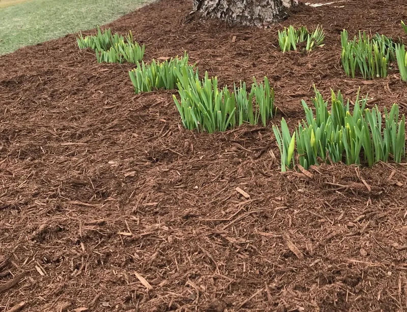 Mulch & Stone goMulch