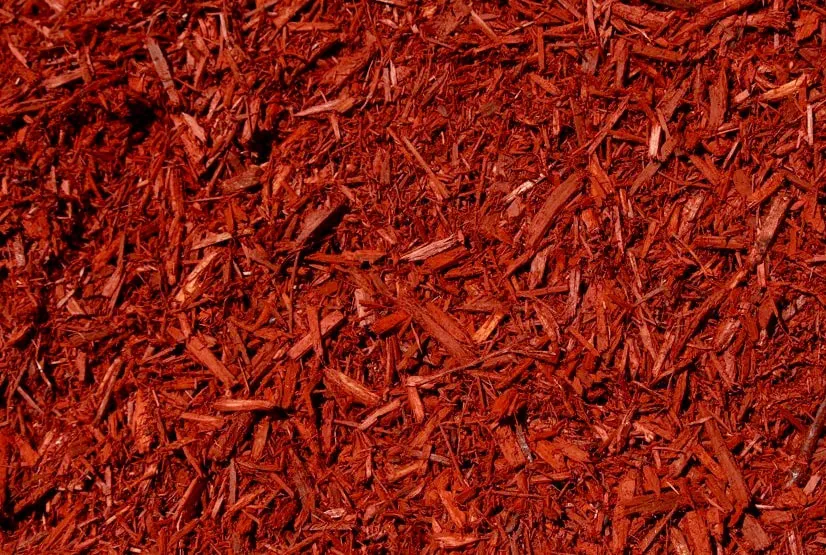 Mulch & Stone goMulch