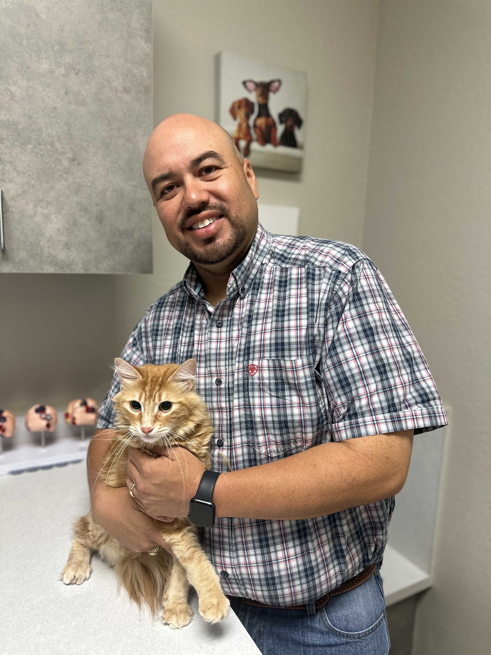 HighQuality Vet Hospital in Montgomery, TX Woodforest Animal Hospital