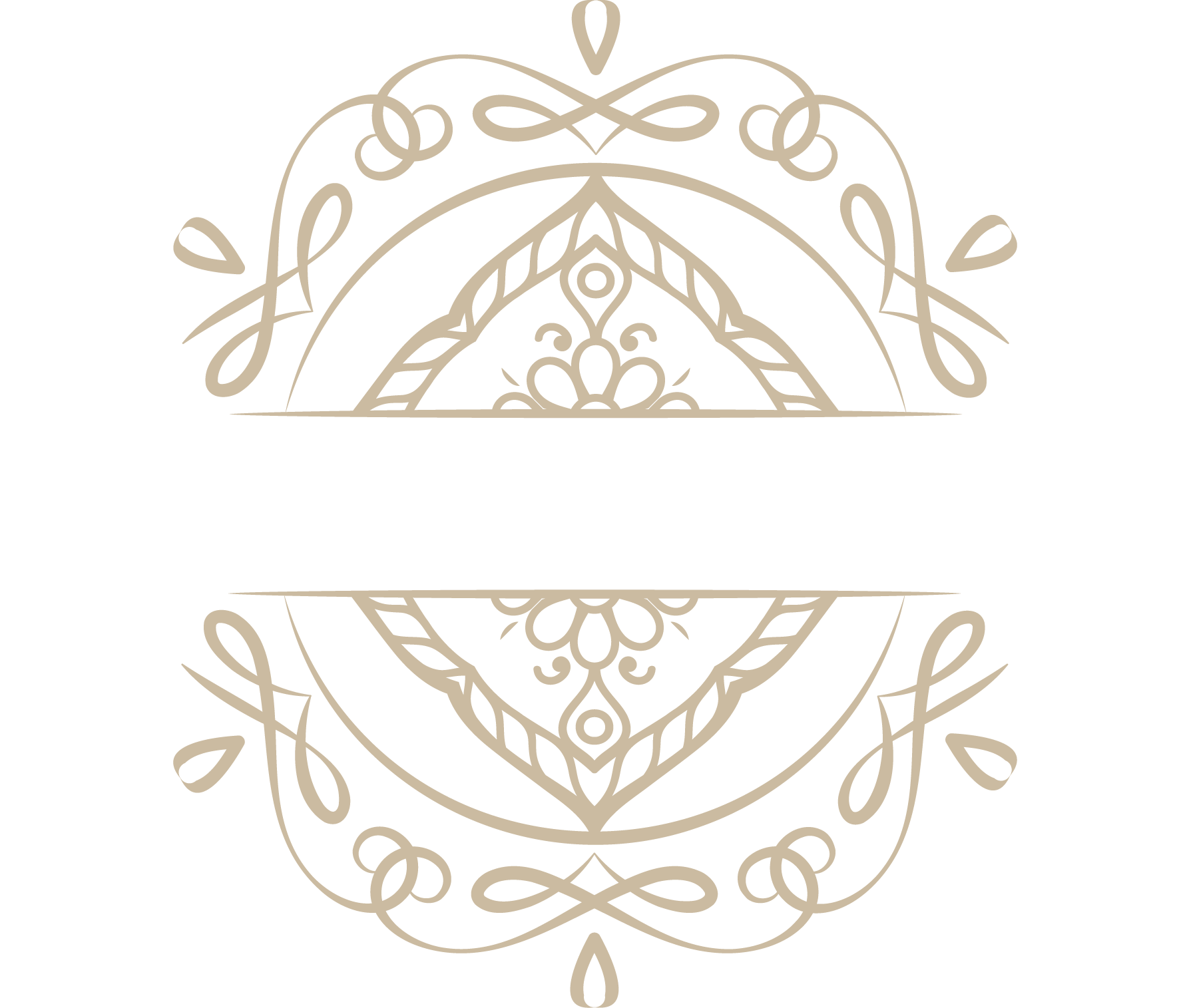 Press Violinist Maya Anjali press-violinist-maya-anjali