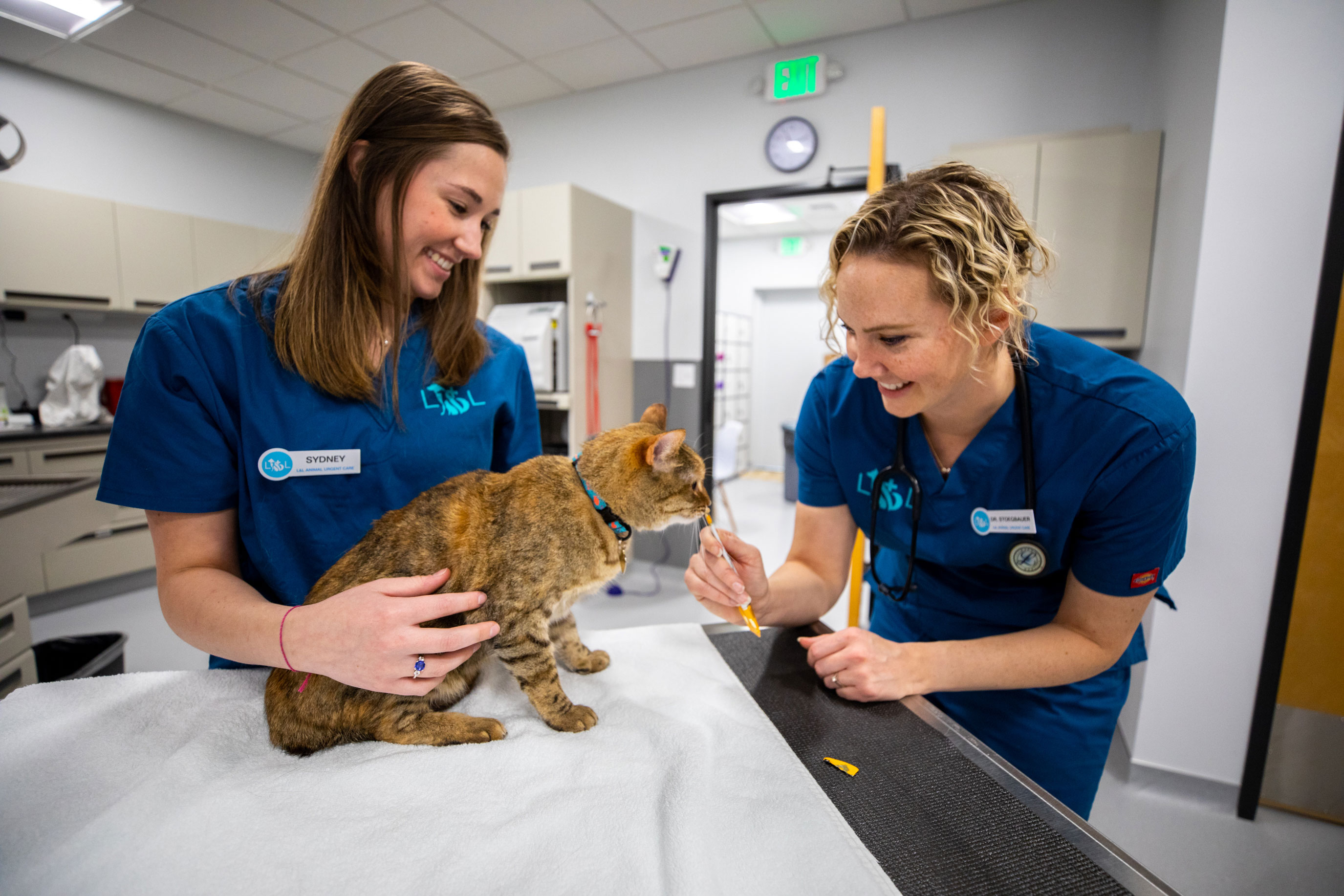 High Quality Vet Hospital in Kirkland - 64552f2cfd8b9decc2fe16e4 L L Animal Urgent Care 105