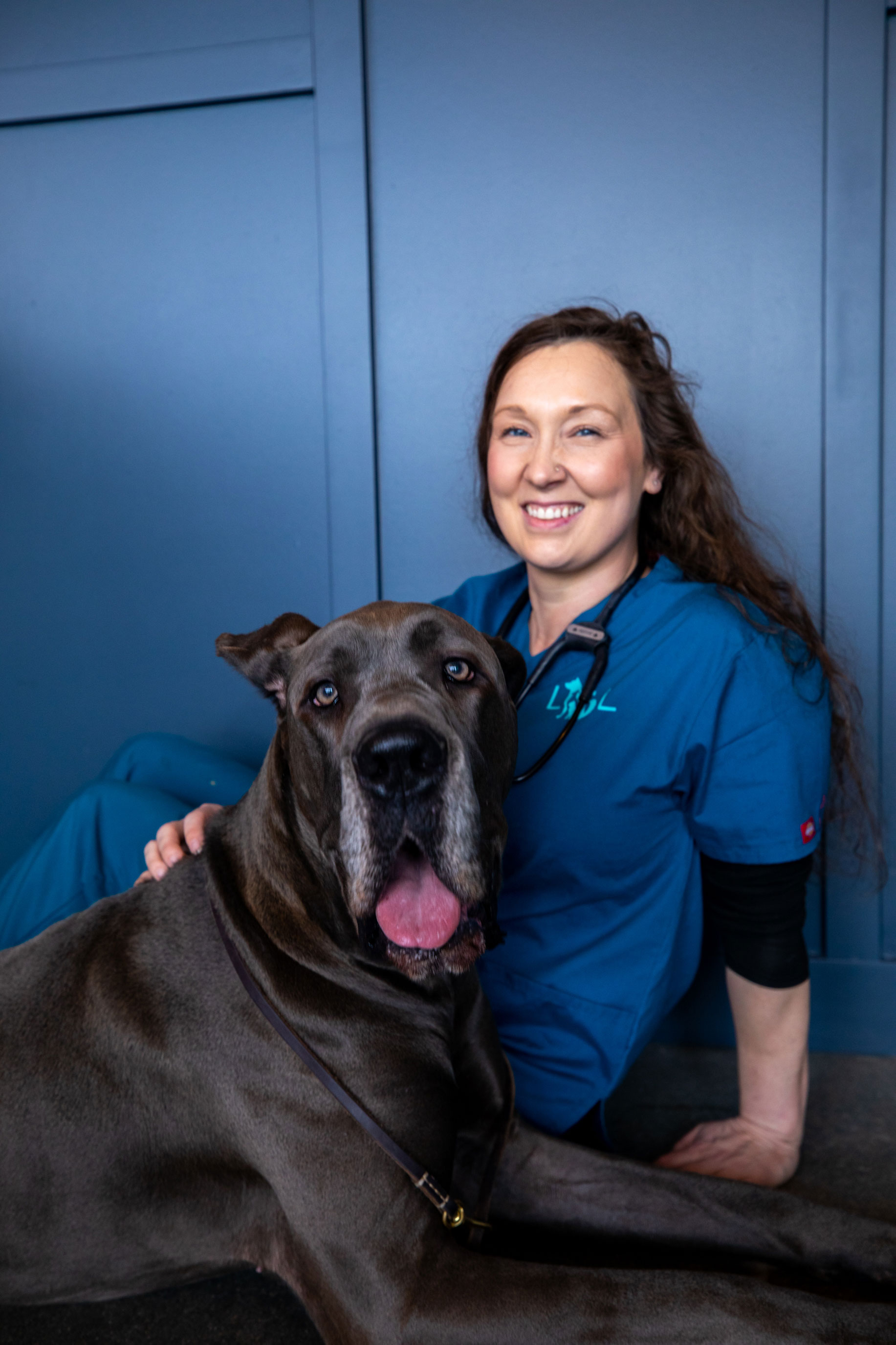 High Quality Vet Hospital in Kirkland - 64552fa113d462febf304e44 L L Animal Urgent Care 137