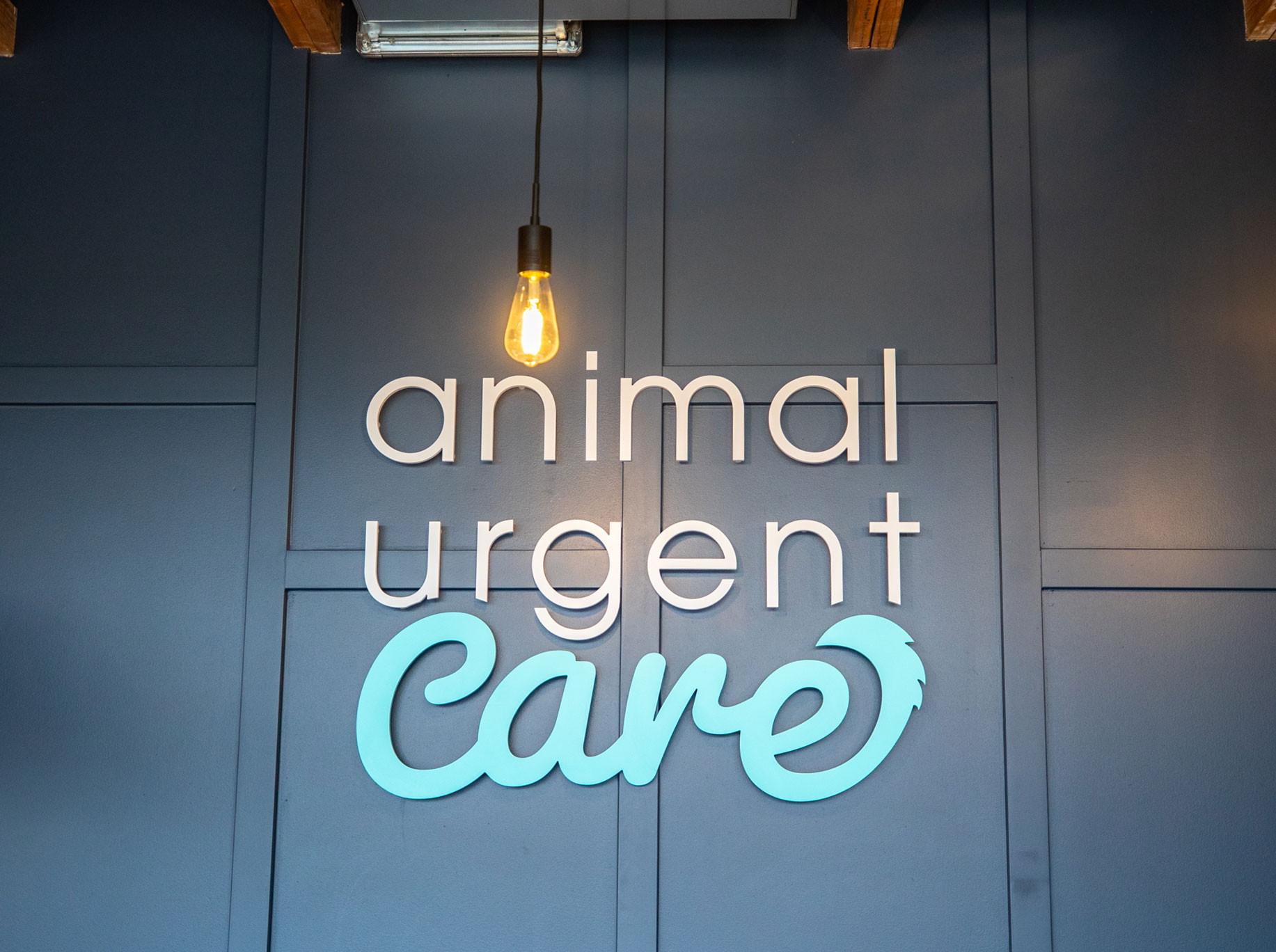 High Quality Vet Hospital in Kirkland - 645532600dc4ab0230c7ffd3 L L Animal Urgent Care 126