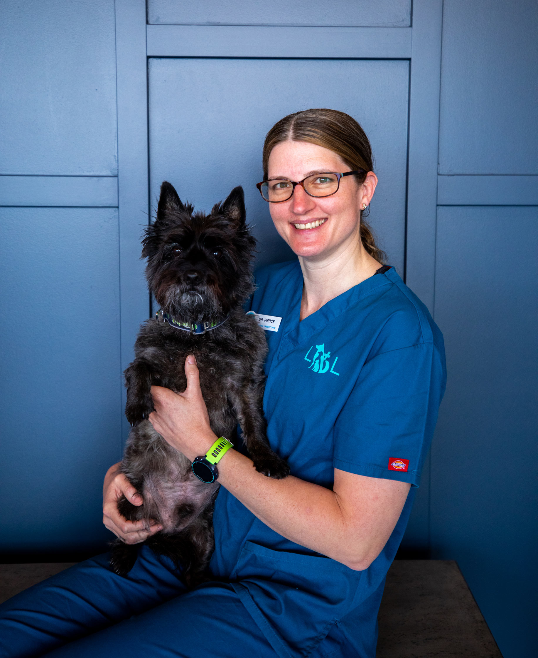 Veterinary Urgent Care Braintree 30 - 8p7e7k2