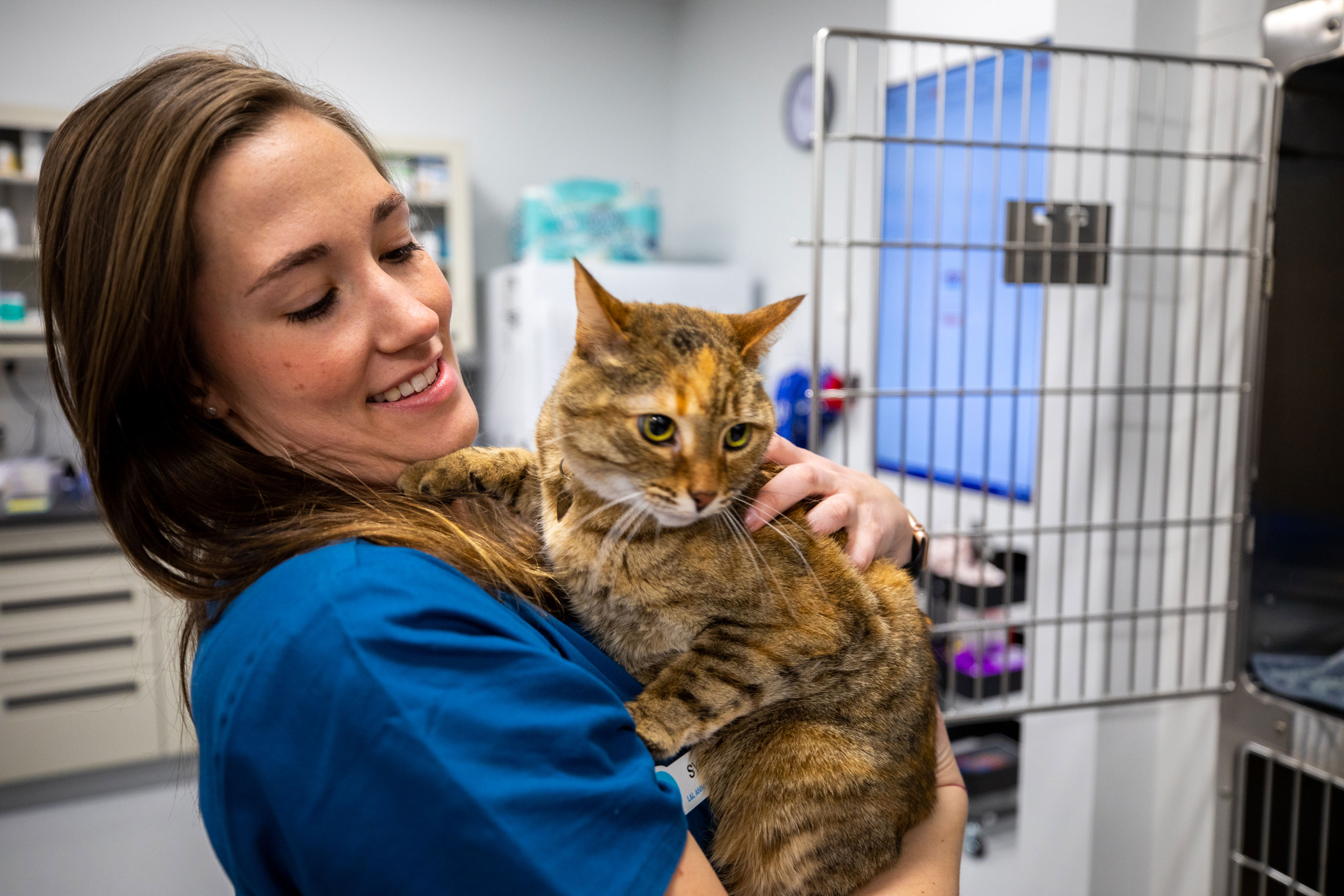 HighQuality Veterinary Ultrasounds Vet Clinic in Kirkland, WA