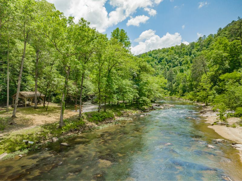 Douglas Lake Real Estate Properties With The Woodland Group