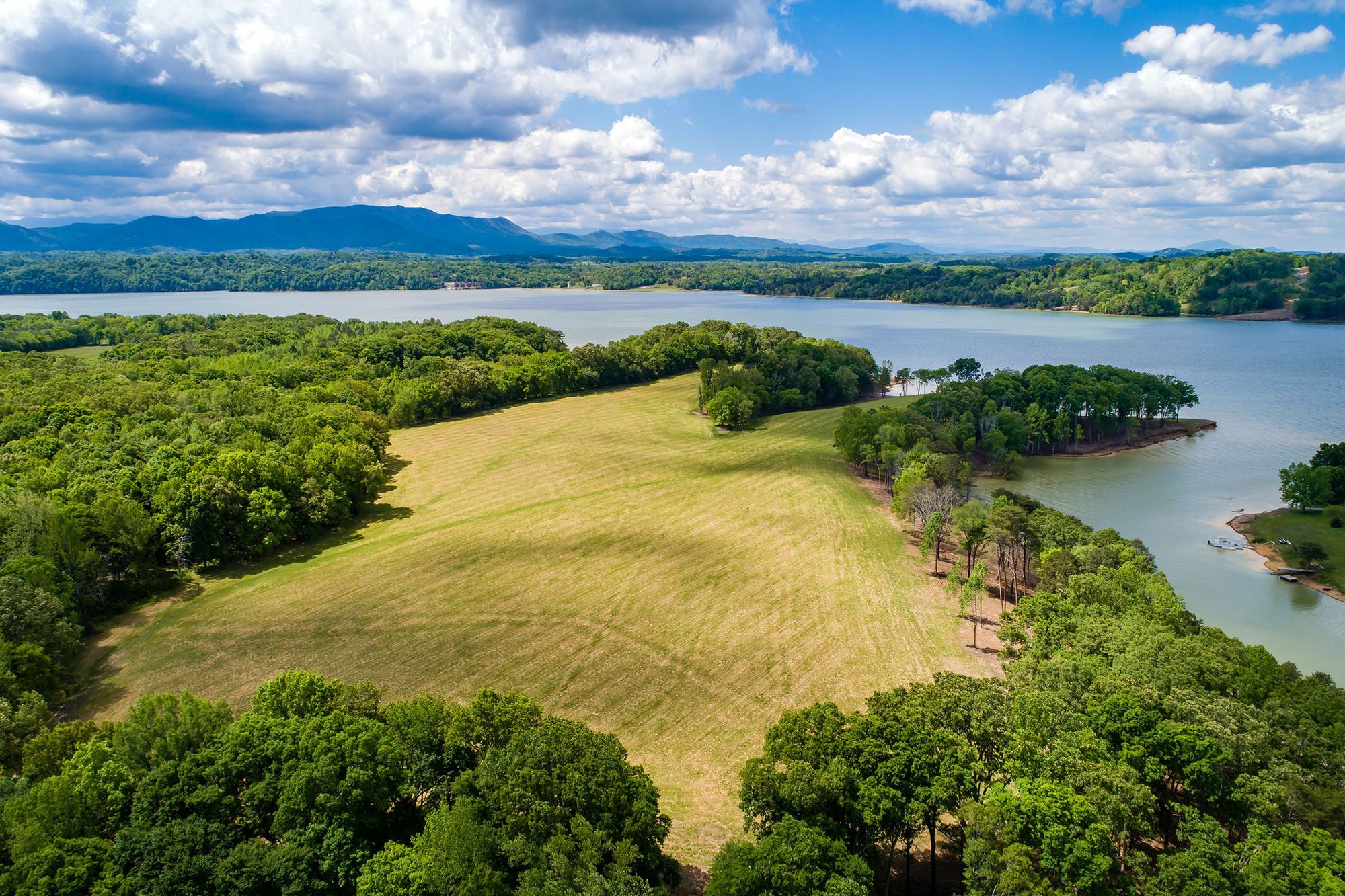 Douglas Lake Real Estate Properties With The Woodland Group