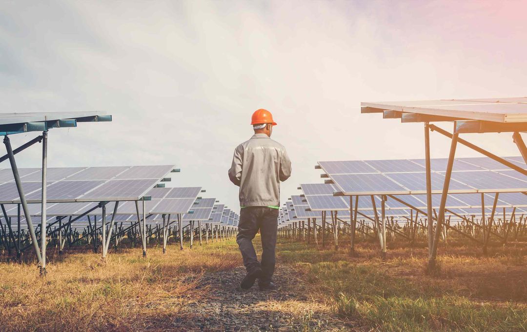 Oyster Creek Solar 1 Project | Proteus Power