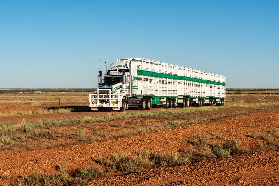 Cattle Transport Curley Cattle Transport Queensland
