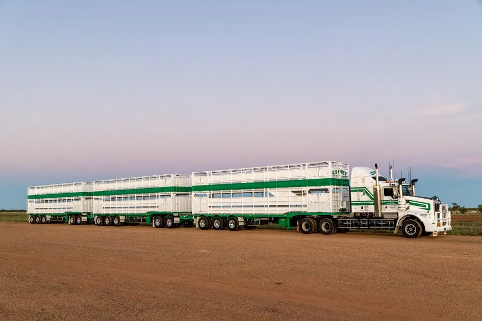 Contact Us Curley Cattle Transport Queensland