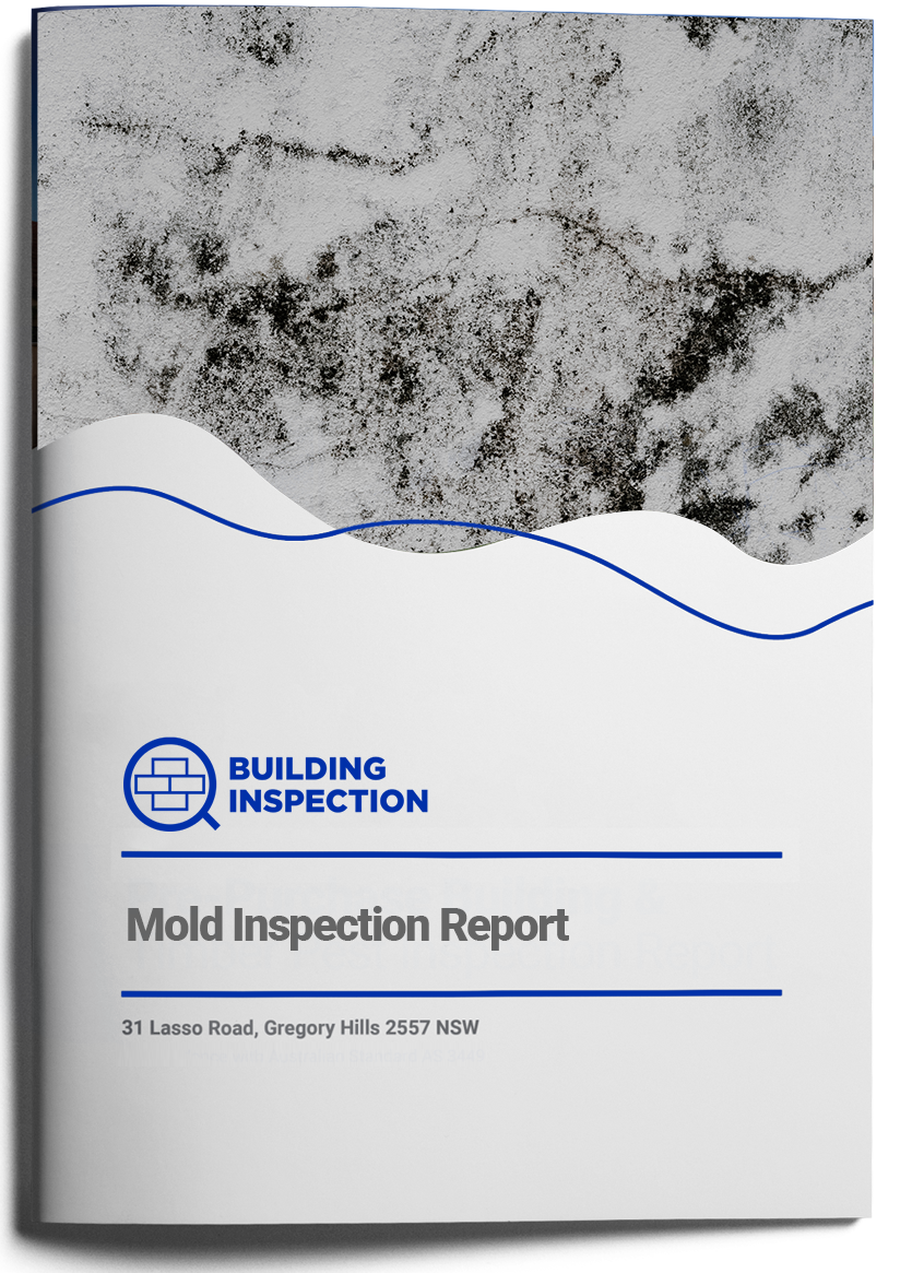 Mold Inspection Report Building Inspection App