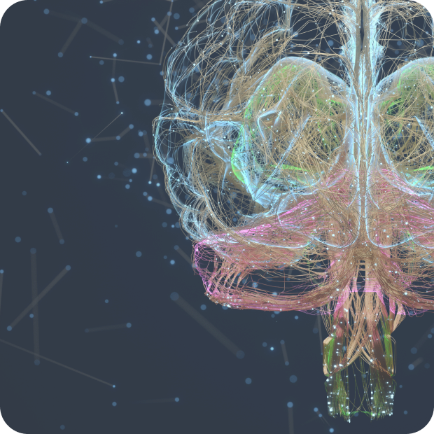 Bites of Curiosity The Taste of Memory