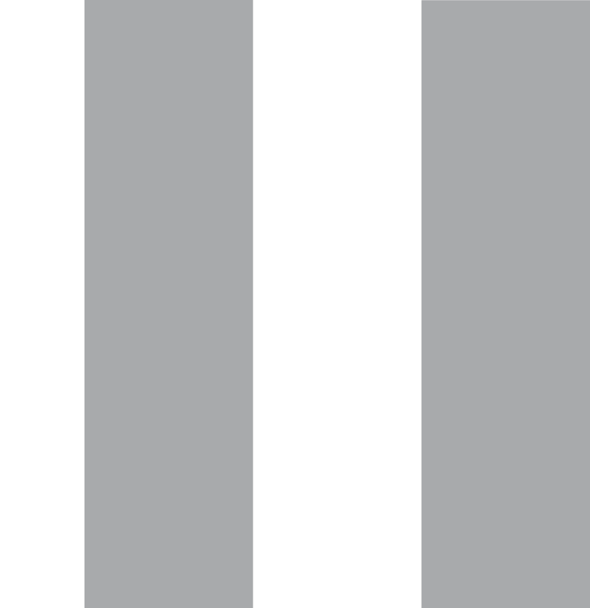 Melbourne Airport Rail MBB Consulting