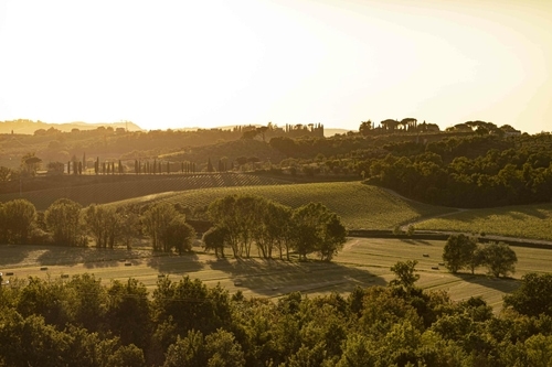 Colline Montepulciano