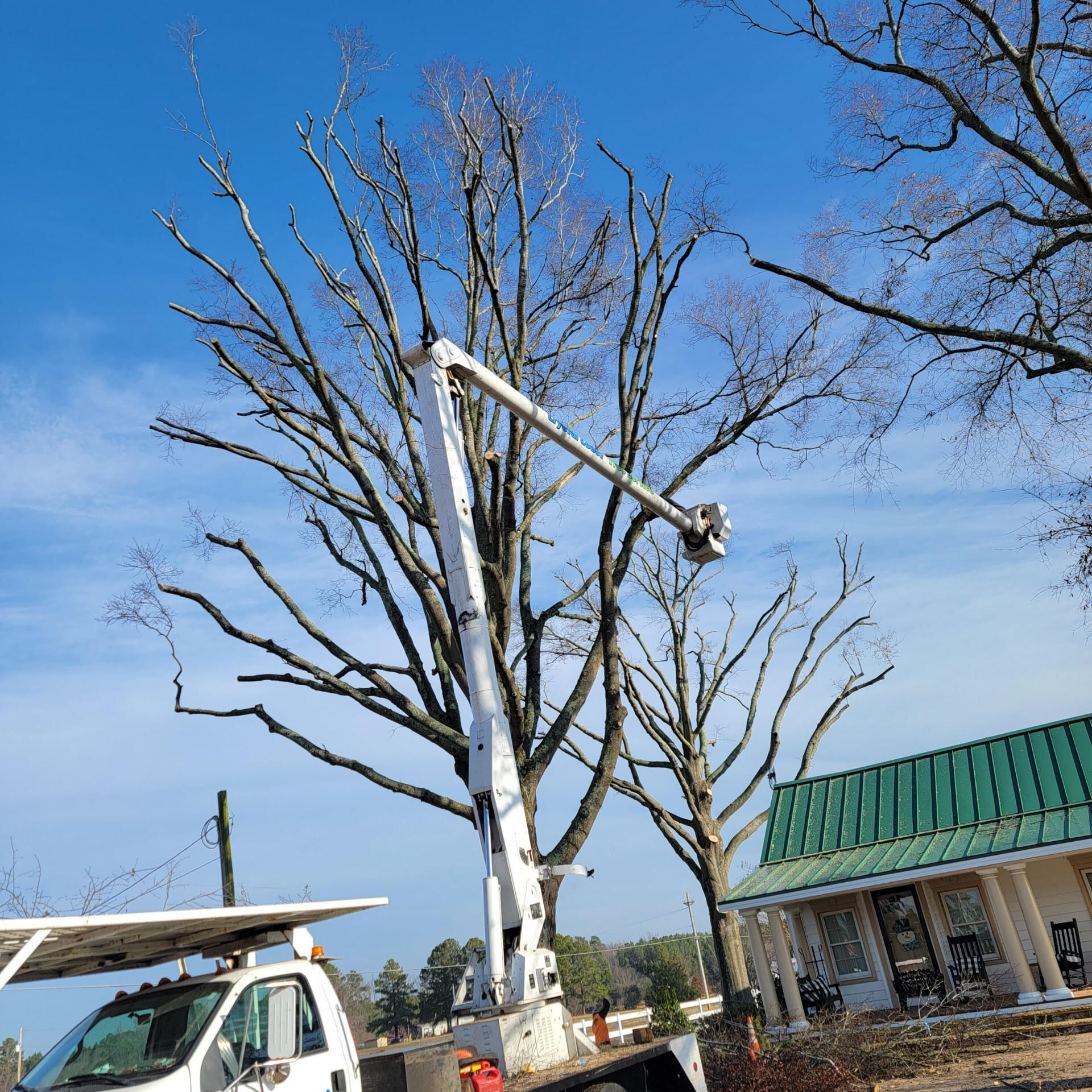 Tree Service Greenville NC Solutions Toler's Tree Service