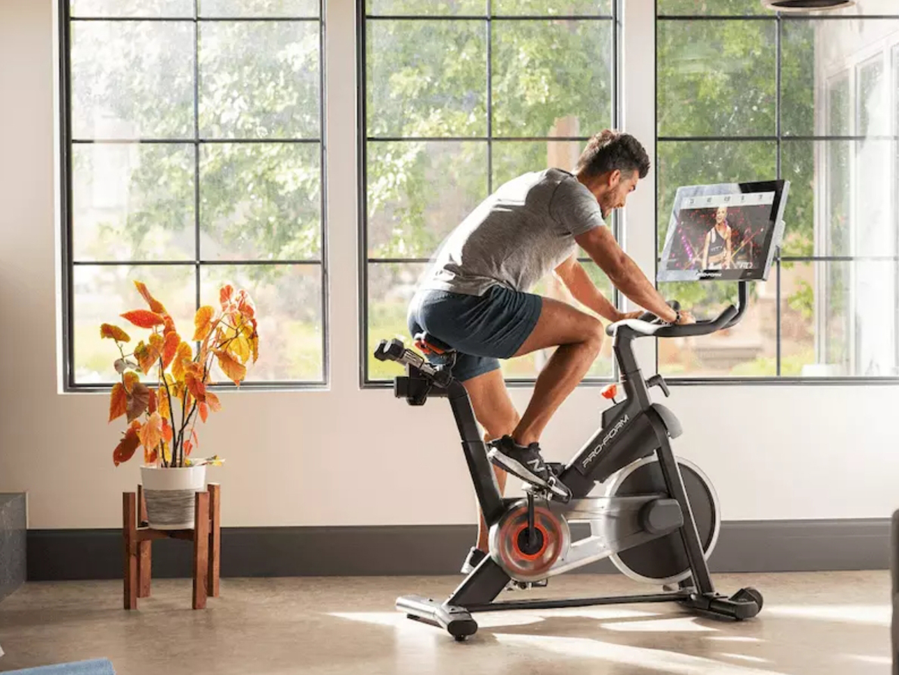 proform exercise bikes