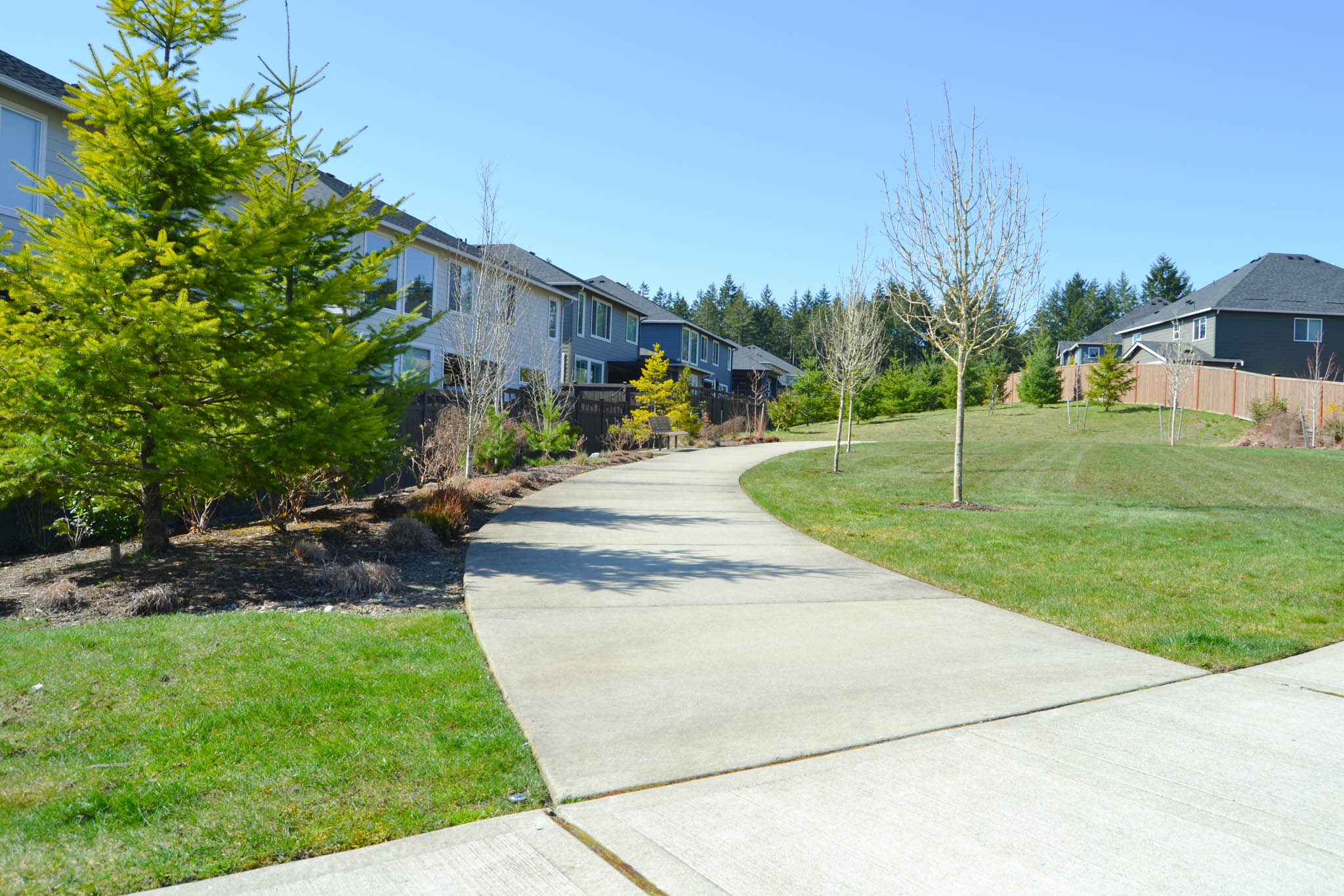 Frederickson Residential Landscape Design