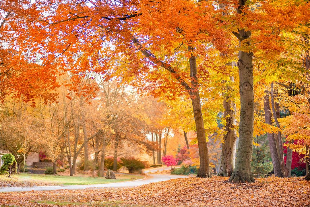 General Information Meadowbrook Hills