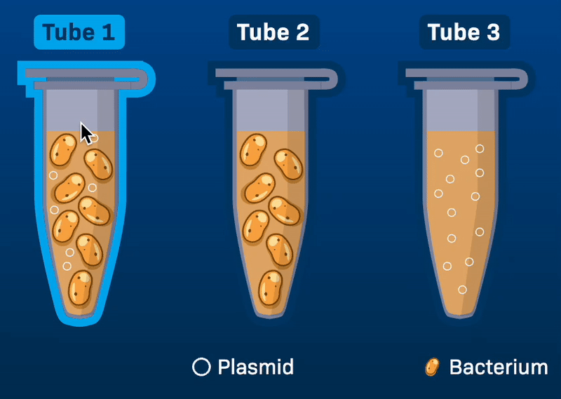 Virtual Lab Simulations