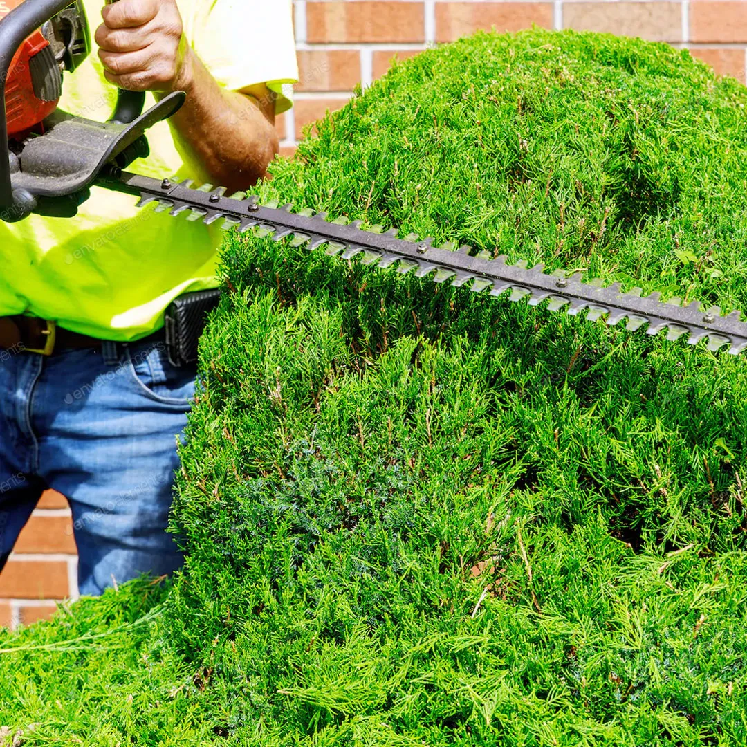 Lawn Care Services in Falmouth Rose Lawn Care Services