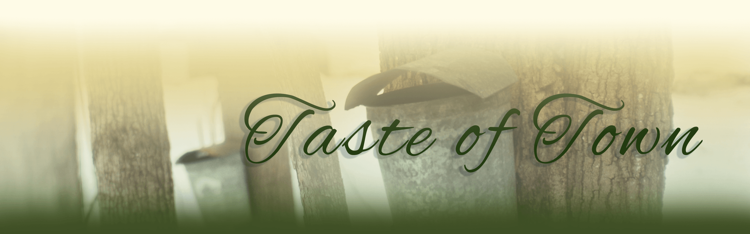 Town of Darien Assessor