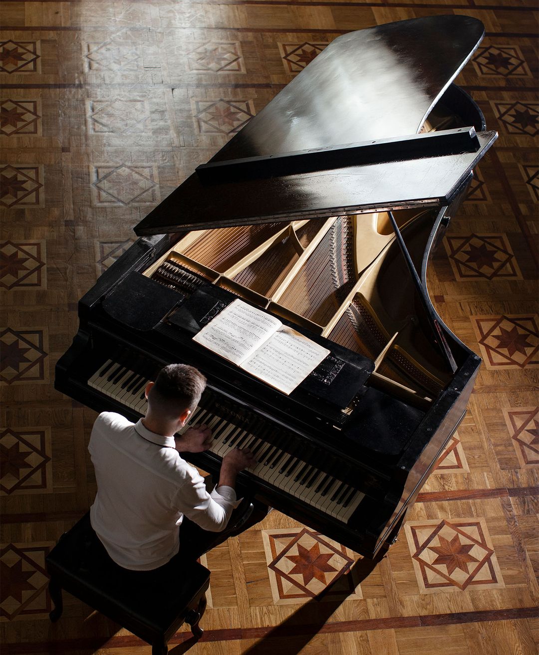 Piano Voicing and Detailing Advanced Musical Instrument Servicing