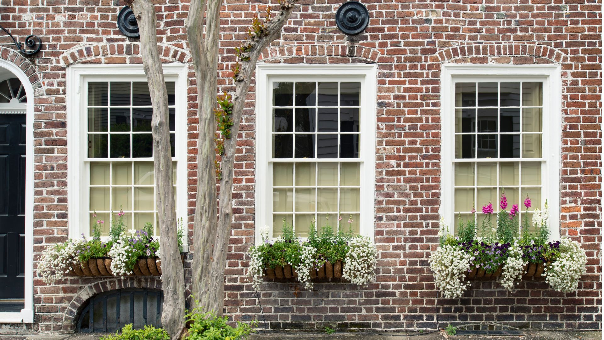 Wallaby Windows of South Carolina