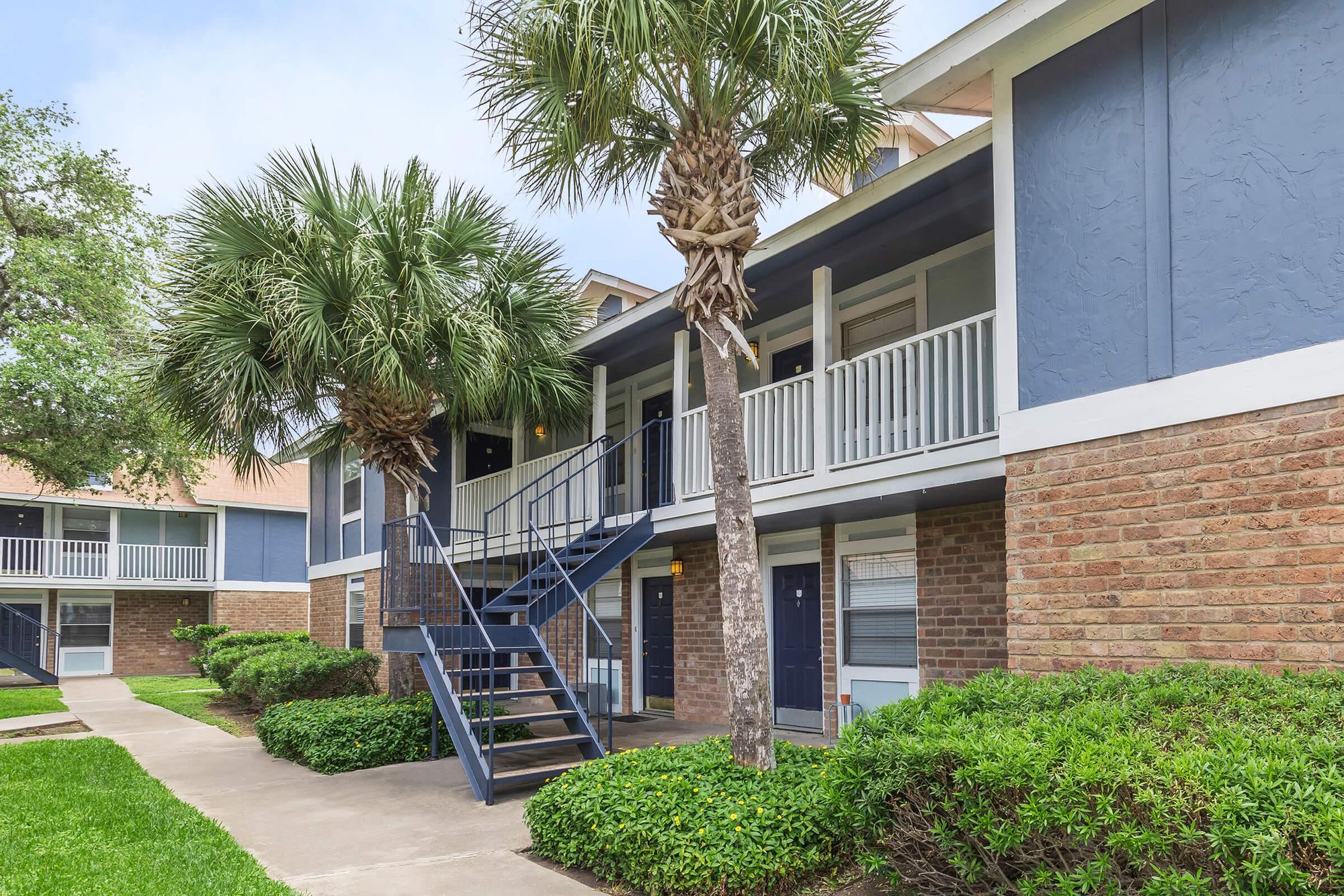 Apartment Corpus Christi Corpus Christi Apartment for Rent Embassy