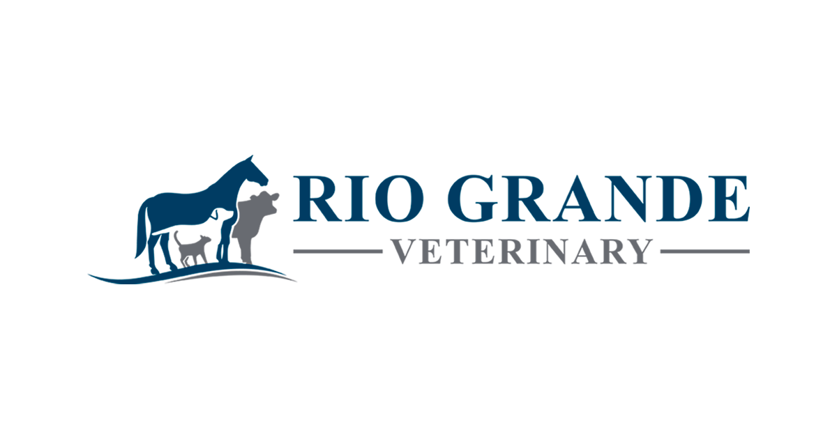 Livestock General Medicine at Rio Grande Veterinary Clinic Laredo, Texas