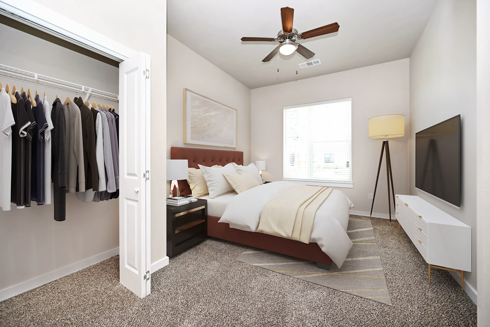 Luxury Apartment Brownsville Brownsville Apartment for Rent