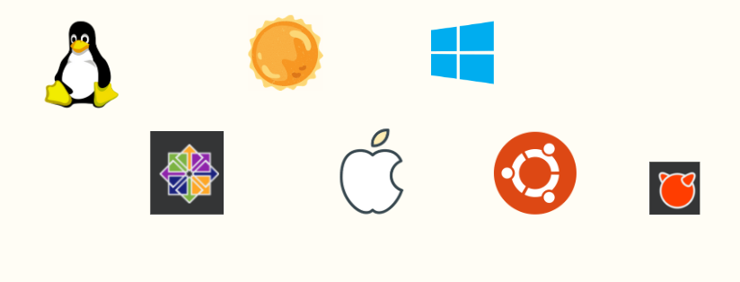 Set up a Business Server for small & midsize businesses