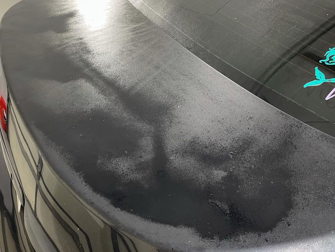 Paint Correction Orlando