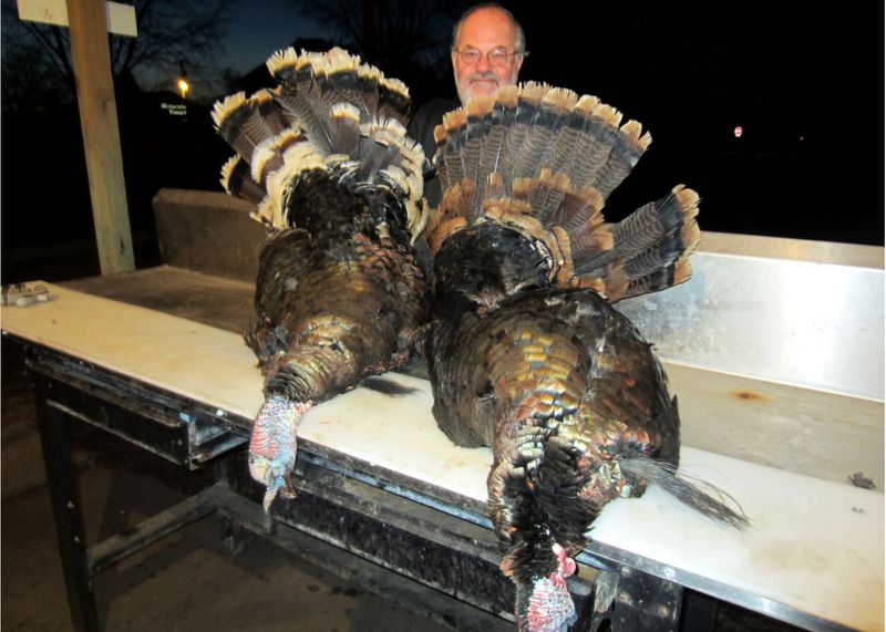 Turkey Hunting SD Outfitters Unlimited